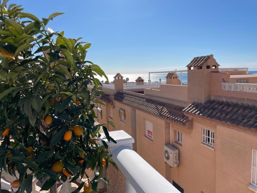 Apartament La Mata Torrevieja Kültér fotó